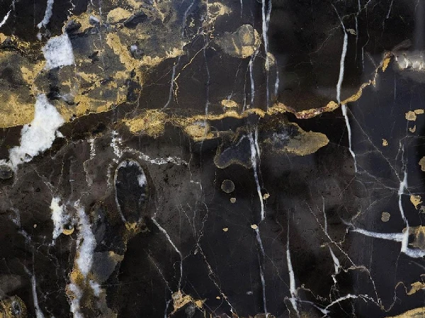Black & Gold