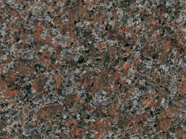 Mahogany Dakota Amerika