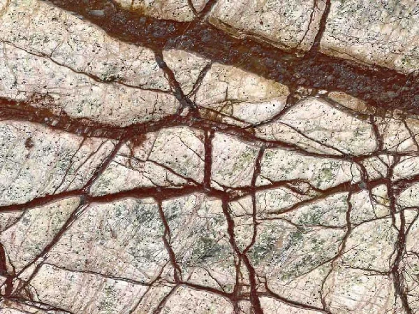 Rainforest Brown