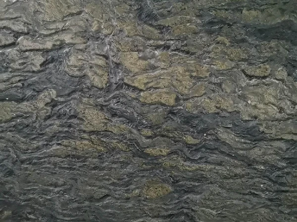 Verde Picasso Quartzite