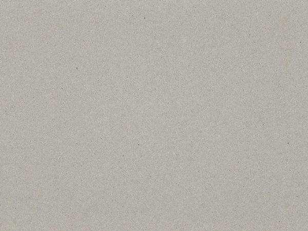 Caesarstone® Quarz 4004 Raw Concrete ICON