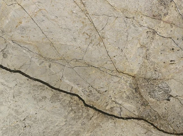 Silver River Root Kalkstein
