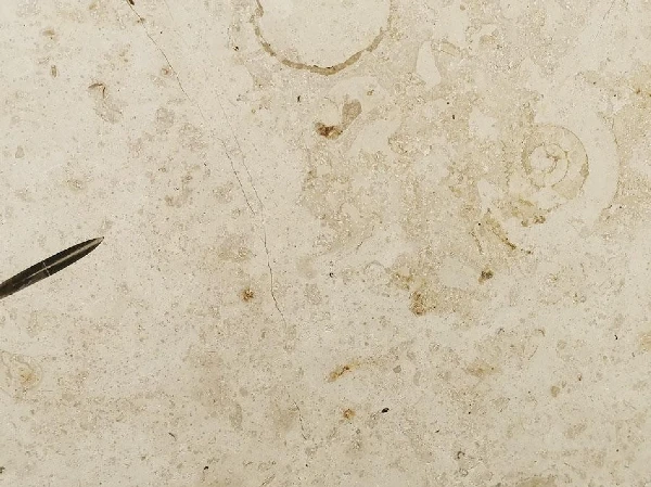 Jura gelb Limestone
