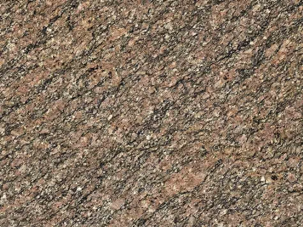 India Brown Migmatit