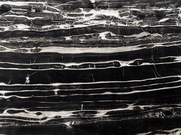 Portoro Silver Limestone