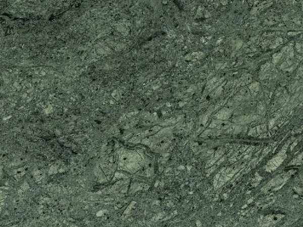 Verde Forest