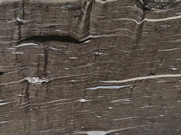 Brown Silk